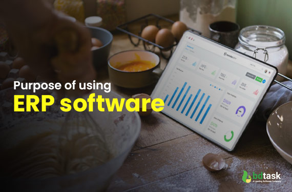 Purpose of Using ERP Software