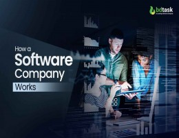 how-a-software-company-works